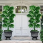 Tall Artificial Palm Tree - Premium Tropical Plant - Image 5