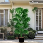 Tall Artificial Palm Tree - Premium Tropical Plant - Image 4