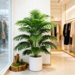 Artificial Palm Tree - Premium Faux Plant - Image 5